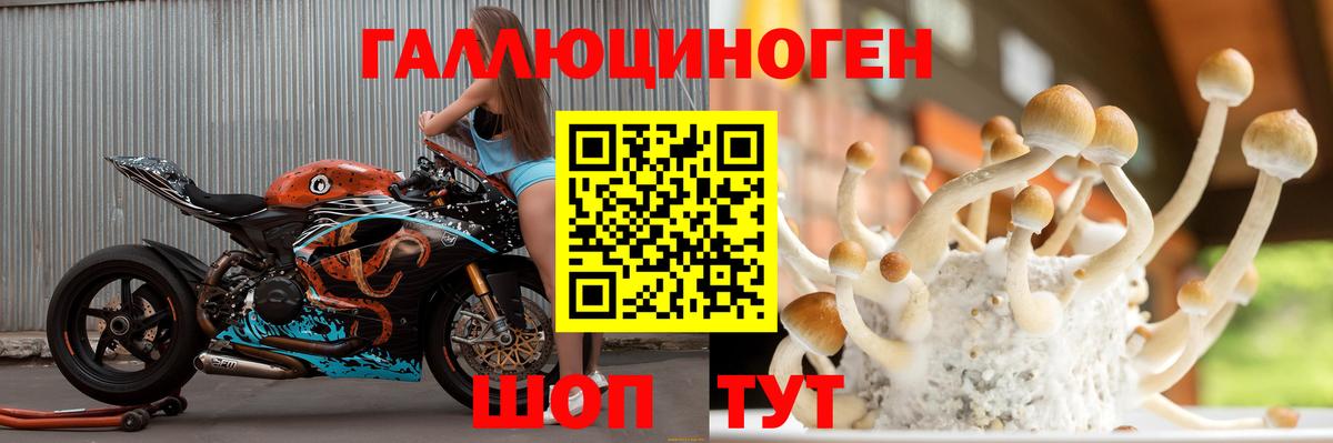 Галлюциногенные грибы Cubensis  Вход с VPN  наркотики  Псилоцибиновые грибы Psilocybine cubensis  Полысаево 